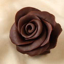 Chocolate-rose